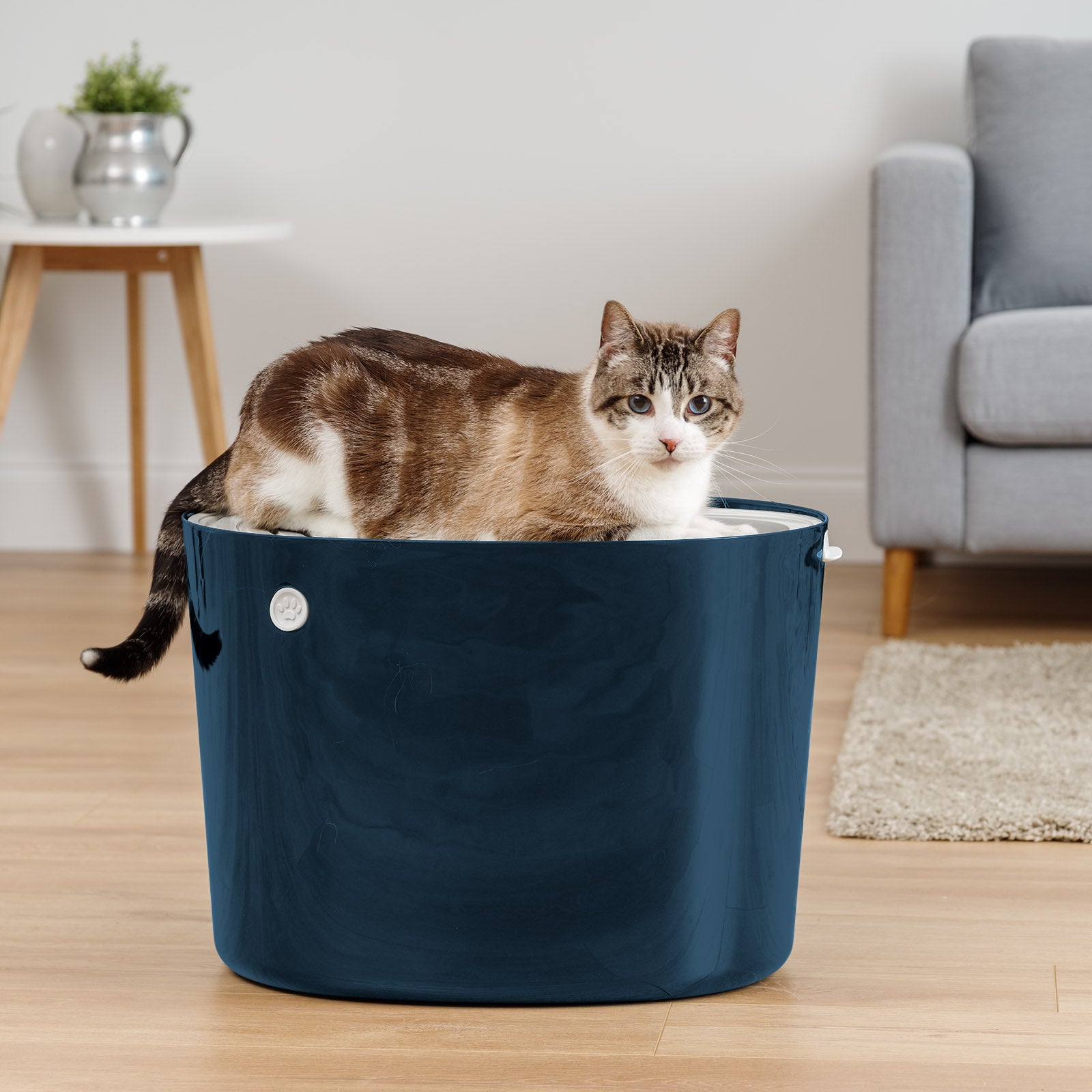 Litter Boxes