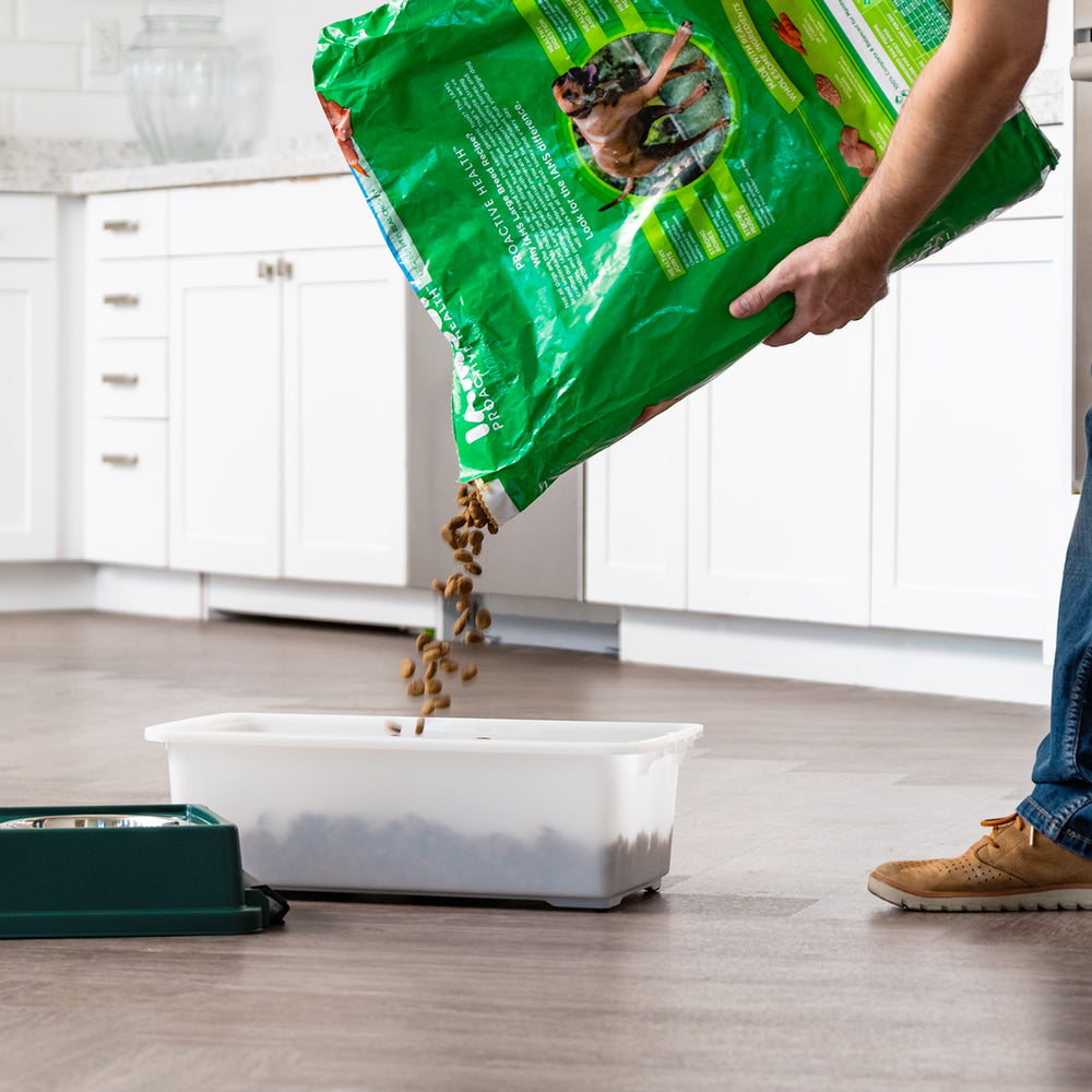 Remington Elevated Feeder with Airtight Storage - Medium - IRIS USA