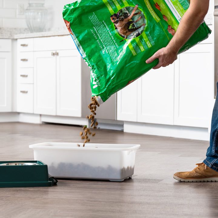 Remington Elevated Feeder with Airtight Storage - Medium - IRIS USA