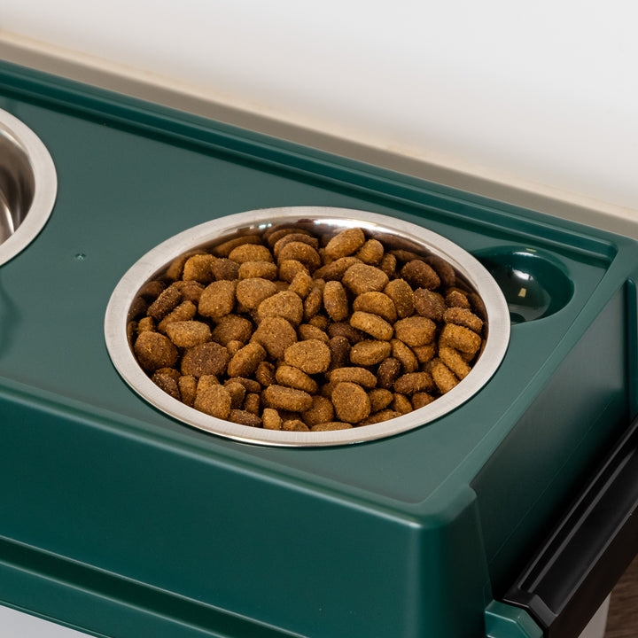 Remington Elevated Feeder with Airtight Storage - Medium - IRIS USA