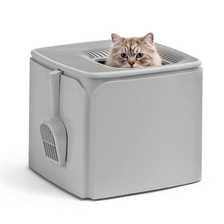 IRIS USA Premium Top Entry Cat Litter Box PRCL-SQ, White - IRIS USA, Inc.
