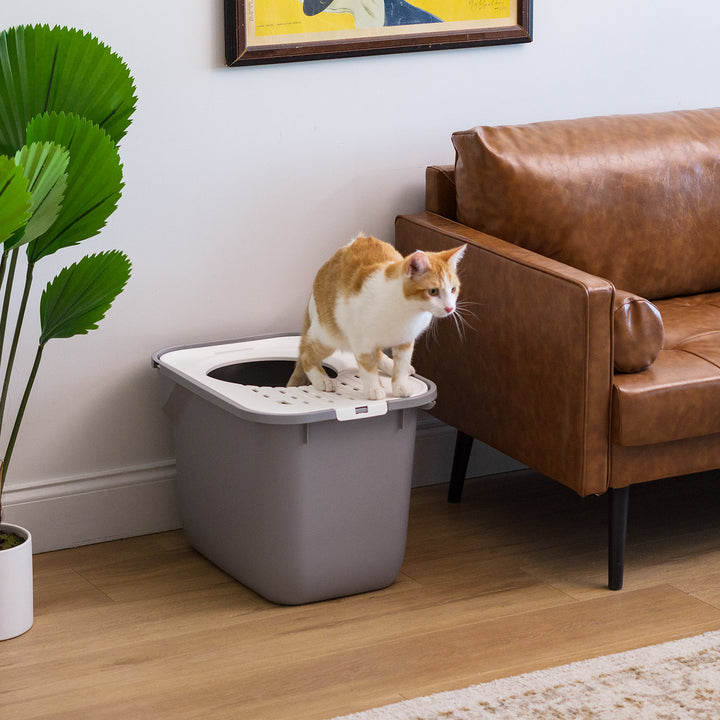 Top Entry Cat Litter Box w/o Scoop Large, White/Gray - IRIS USA, Inc.