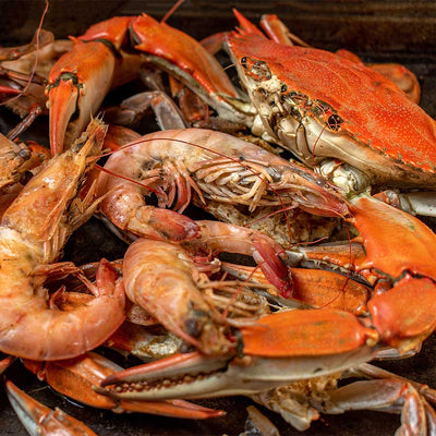 Shrimp/Crab
