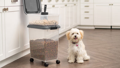 Reader’s Digest: Products That Will Help You Stop Wasting Food