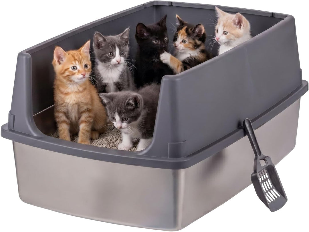 XXL Stainless Steel Litter Box Enclosed High Sided for Cats