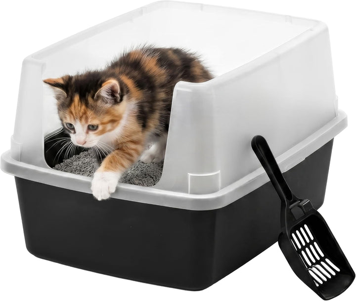 IRIS USA Cat Litter Box Small, High Sided, Scatter Shield