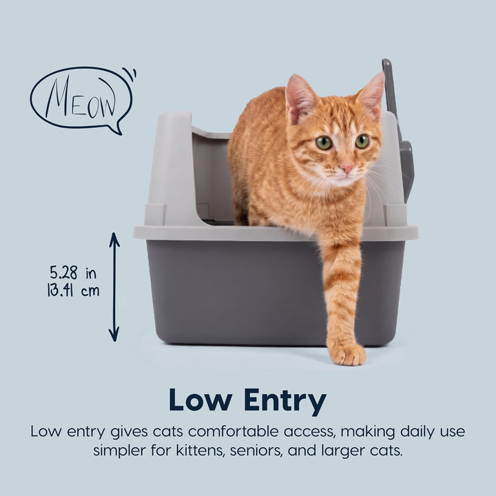 IRIS USA Cat Litter Box Small, High Sided, Scatter Shield
