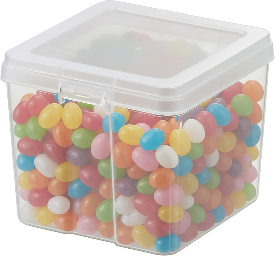 Food Storage Containers with Flip-Top Lid, 1.3 Qt - 10 Pack - IRIS USA
