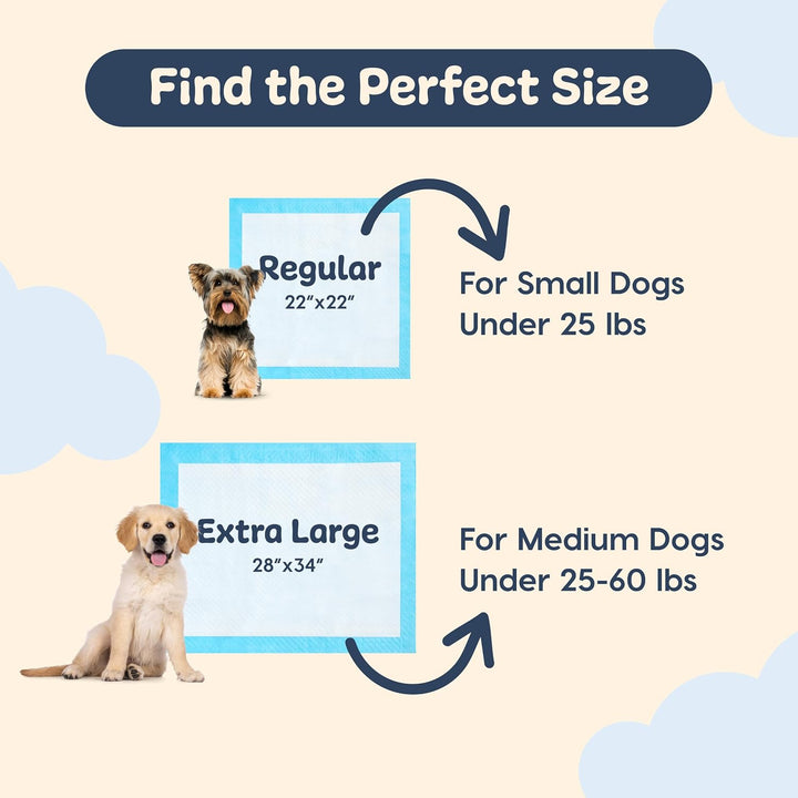 IRIS USA Neat-N-Dry Pee Pads for Dogs, 22"x 22", 100 Count