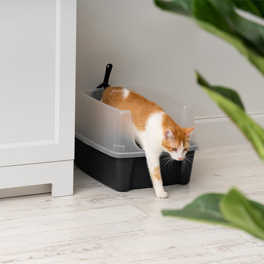 Cat Litter Box Large Open Top with Tall Scatter Shield, Scoop Included