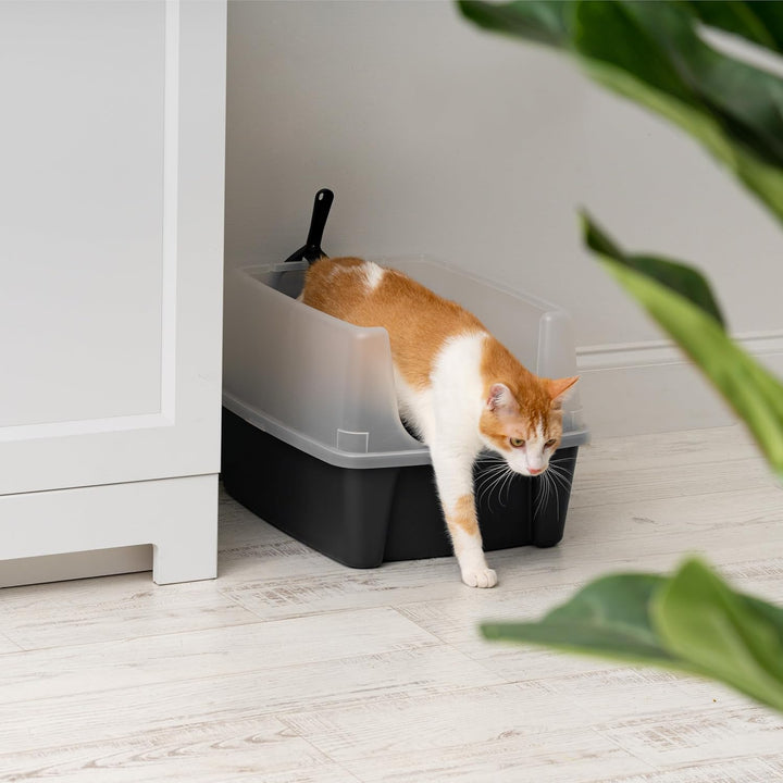 Cat Litter Box Large Open Top with Tall Scatter Shield, Scoop Included