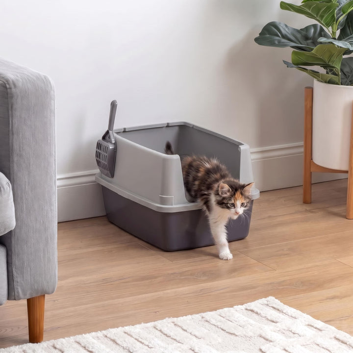 IRIS USA Cat Litter Box Small, High Sided, Scatter Shield