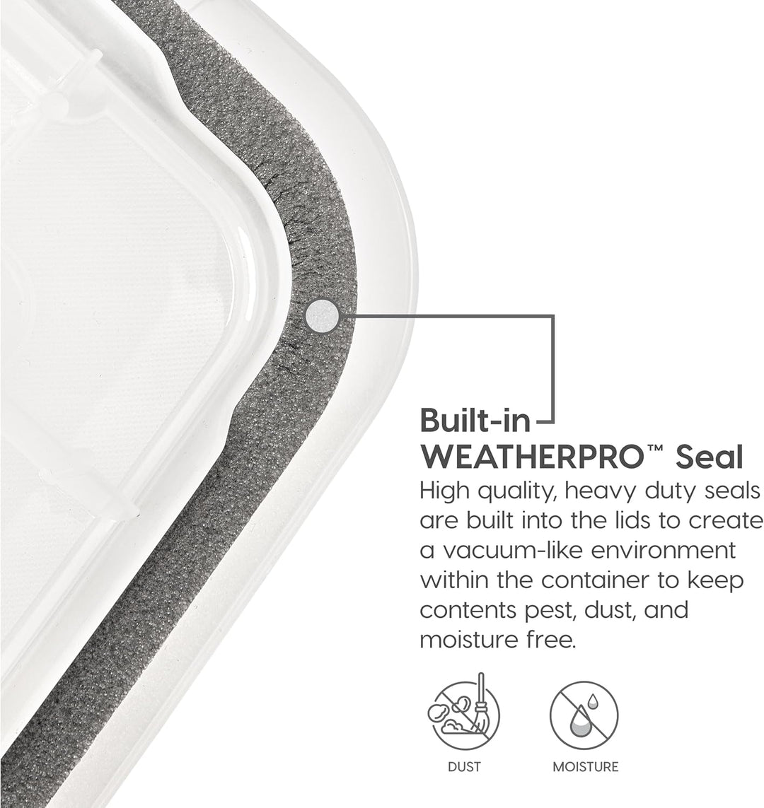 WeatherPro File Organizer Box Clear/Blue 32 Qt. 3 Pack