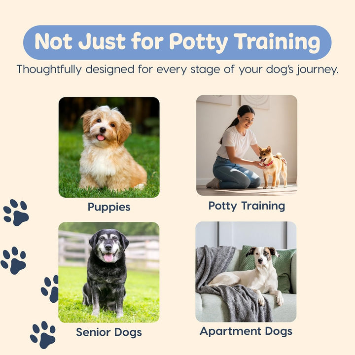 IRIS USA Neat-N-Dry Pee Pads for Dogs, 22"x 22", 100 Count
