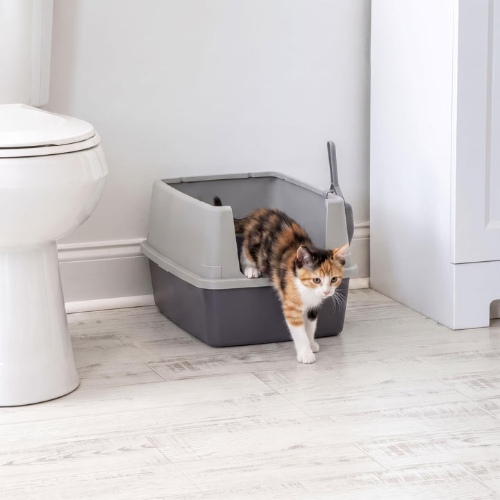 IRIS USA Cat Litter Box Small, High Sided, Scatter Shield