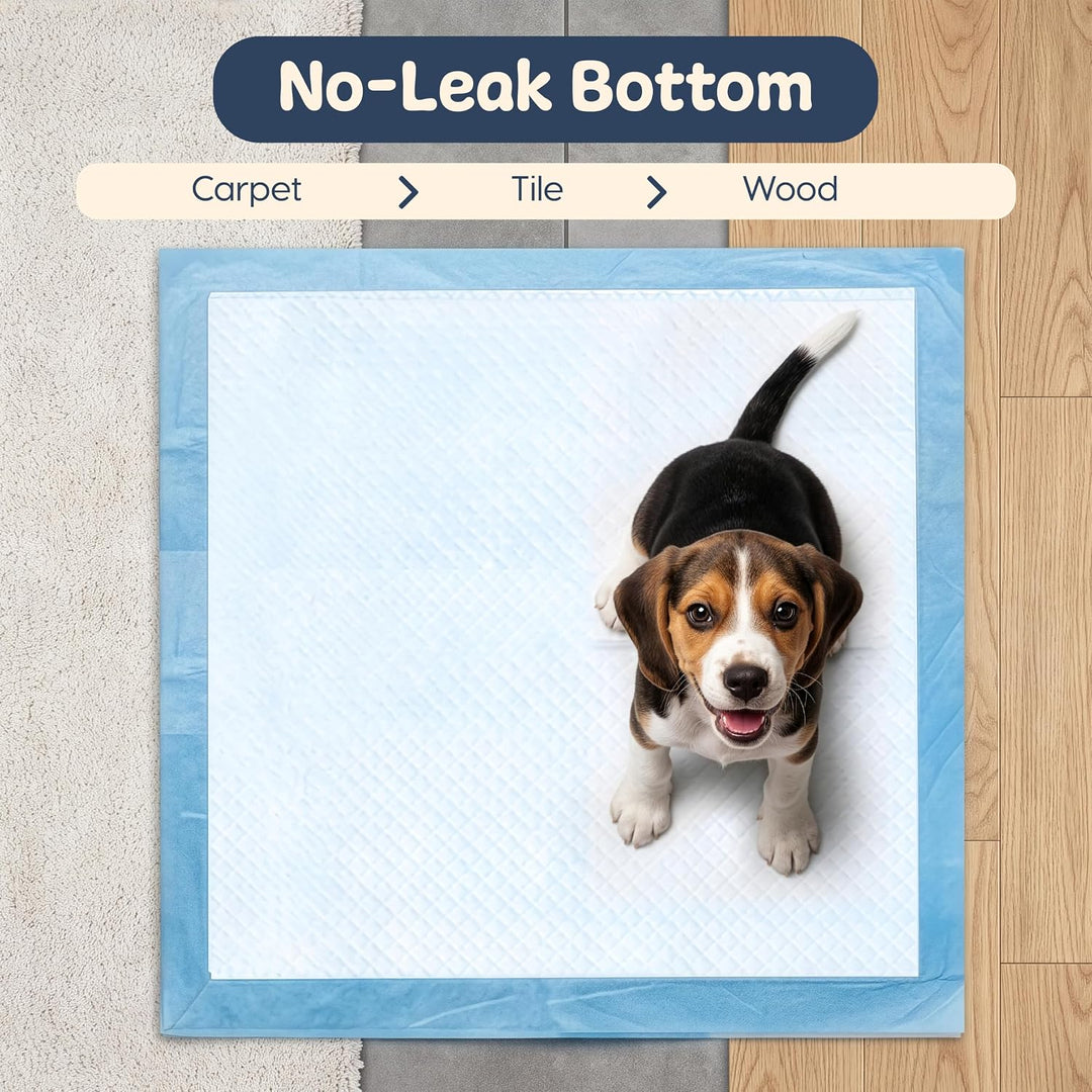 IRIS USA Neat-N-Dry Pee Pads for Dogs, 22"x 22", 100 Count