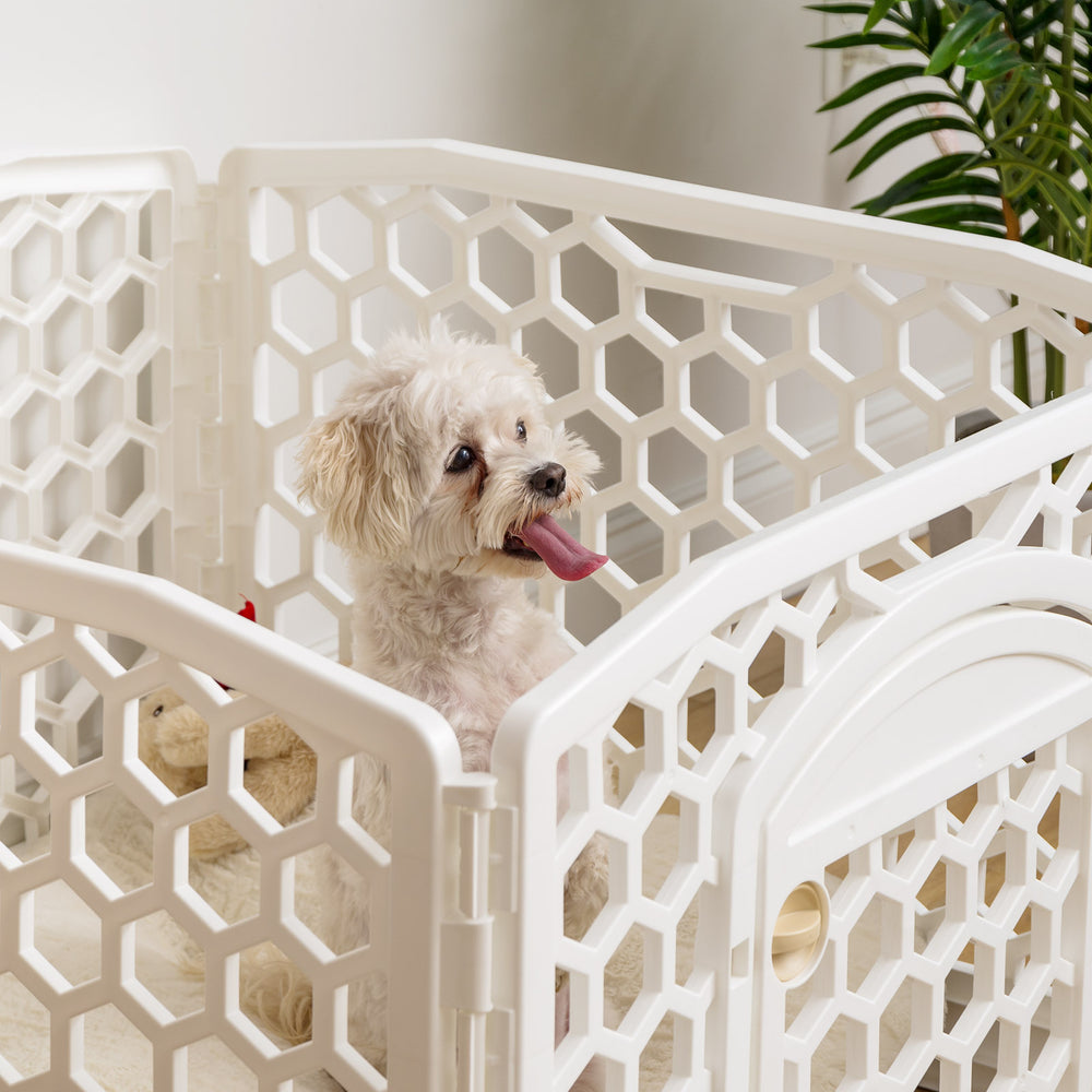 24-inch Exercise Pet Playpen with Door, White - IRIS USA