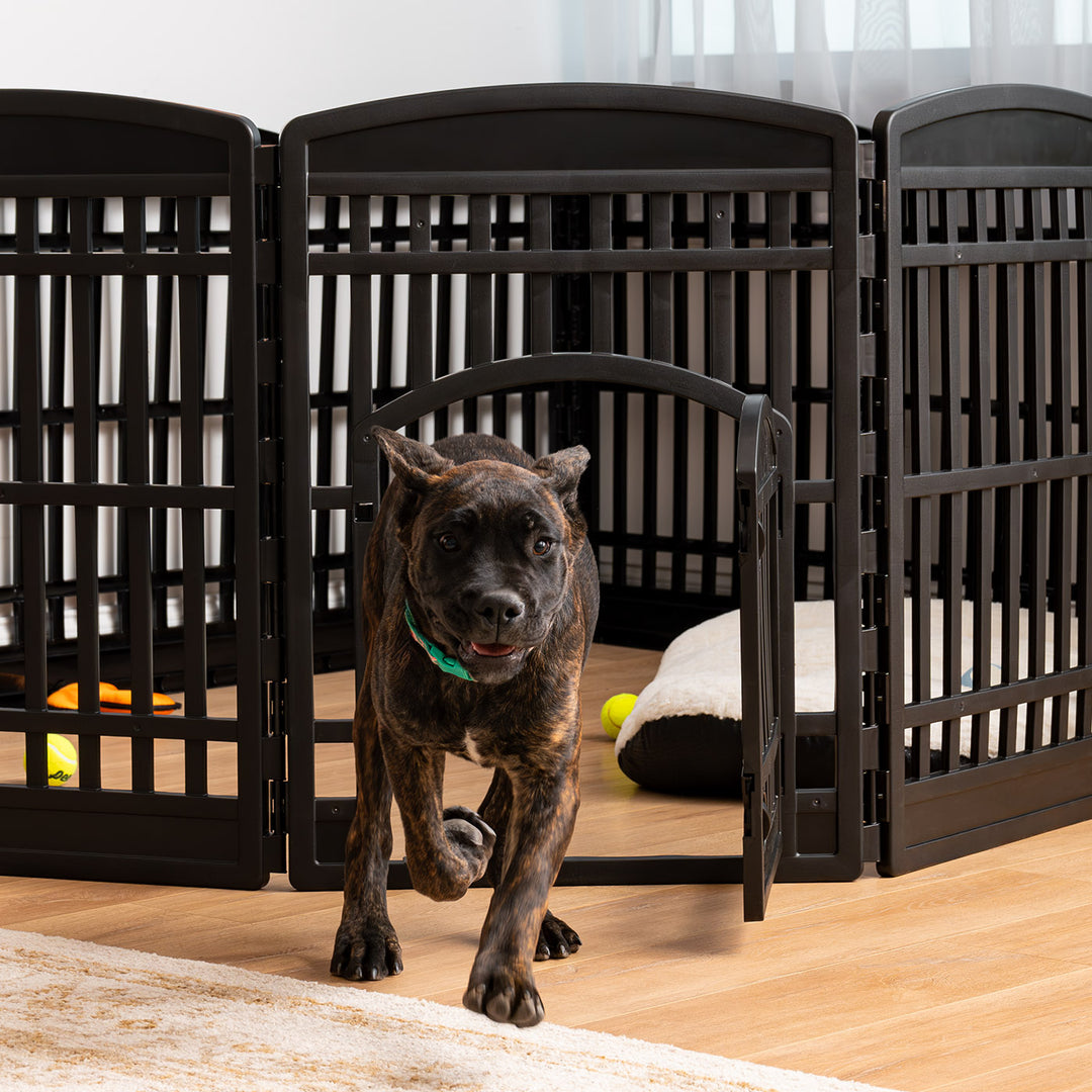 35" 10 Panel Exercise Pet Playpen with Door for Dog, Black - IRIS USA, Inc.