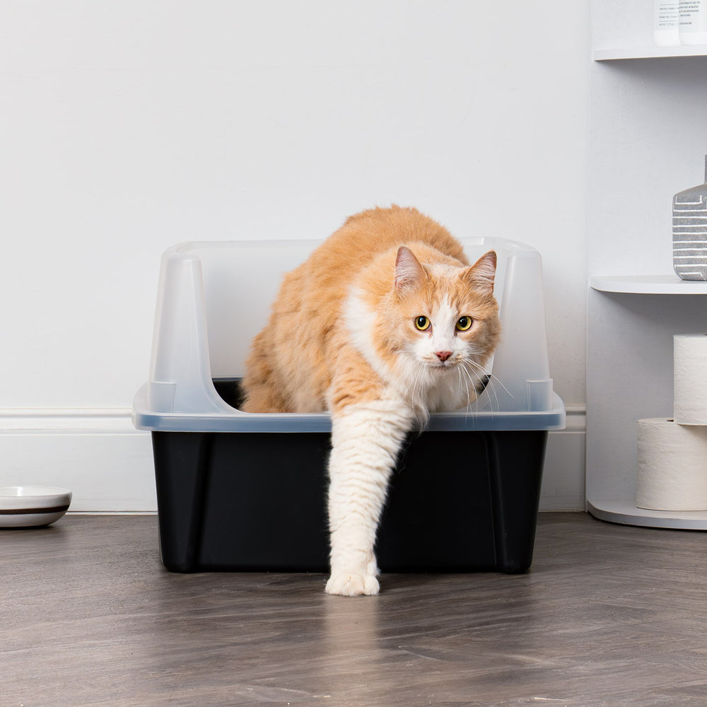 XL Open-Top Cat Litter Box with Shield and Scoop - IRIS USA, Inc.