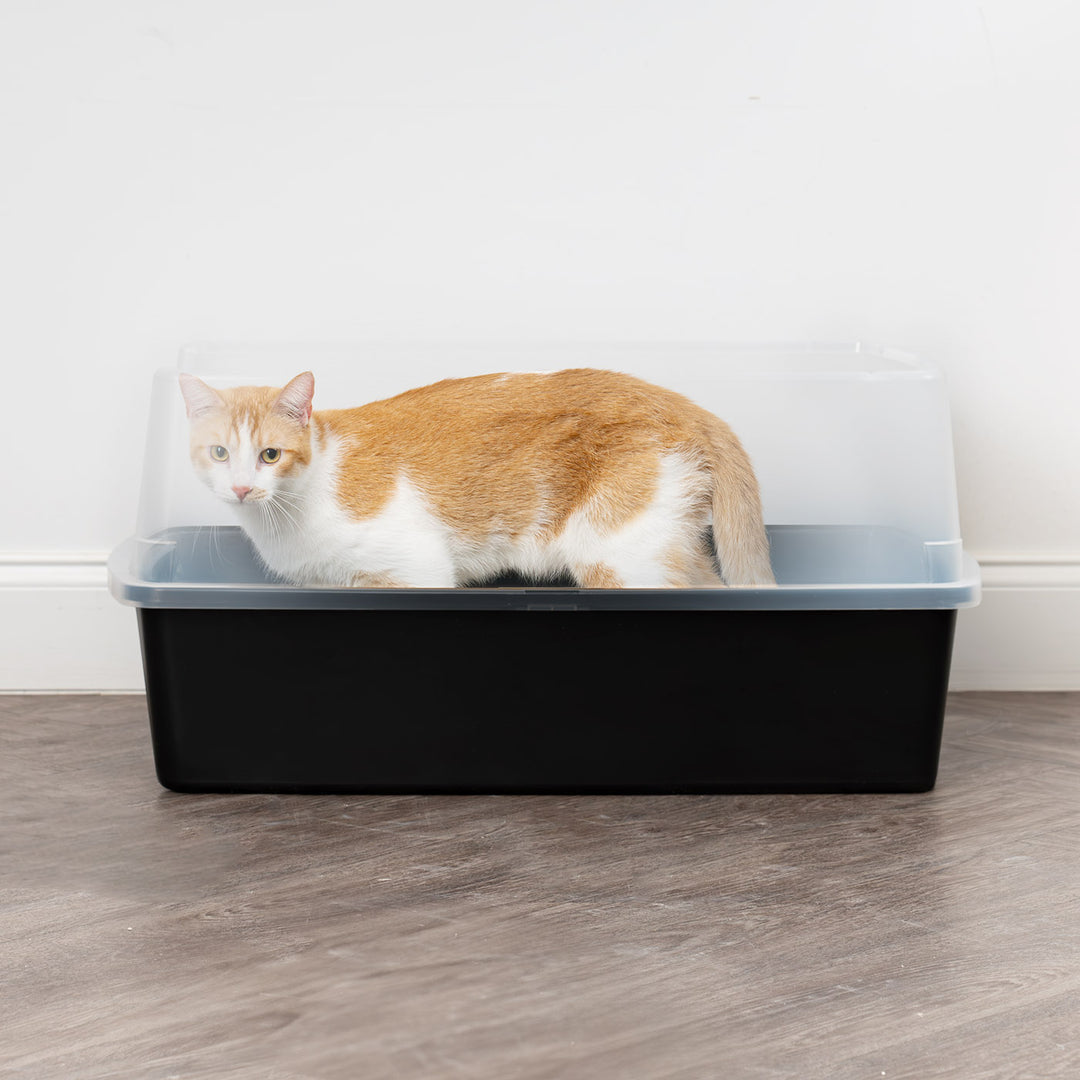 XL Open-Top Cat Litter Box with Shield and Scoop - IRIS USA, Inc.