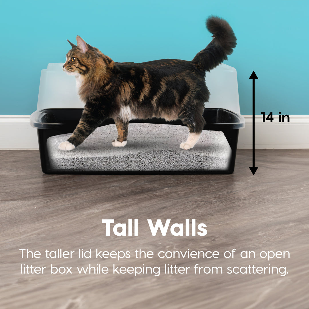 XXL Cat Litter Box with Litter Scoop