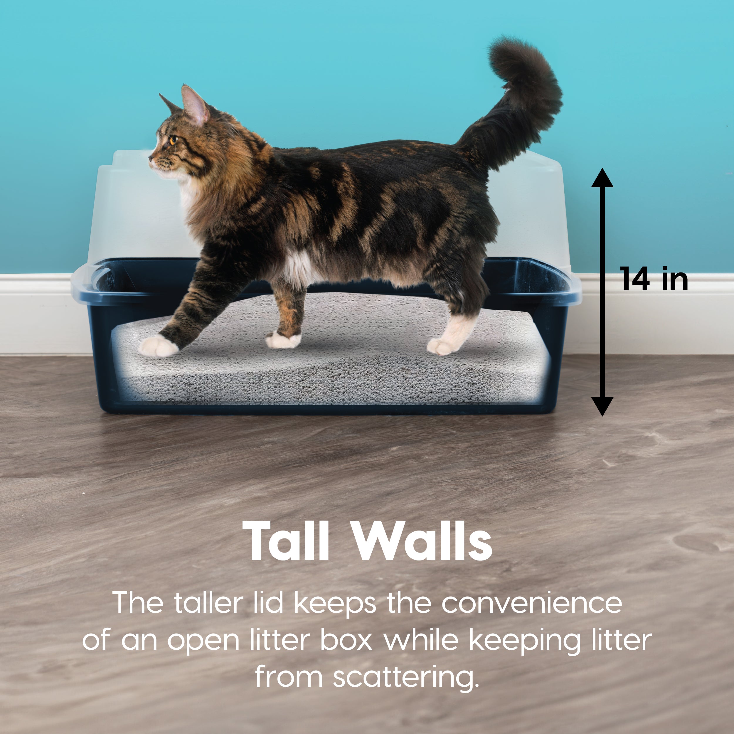 XXL Cat Litter Box with Litter Scoop – IRIS USA