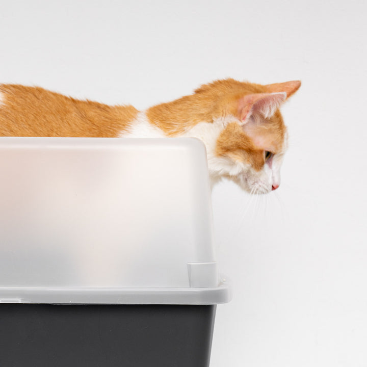 Open-Top Cat Litter Box with Shield and Scoop