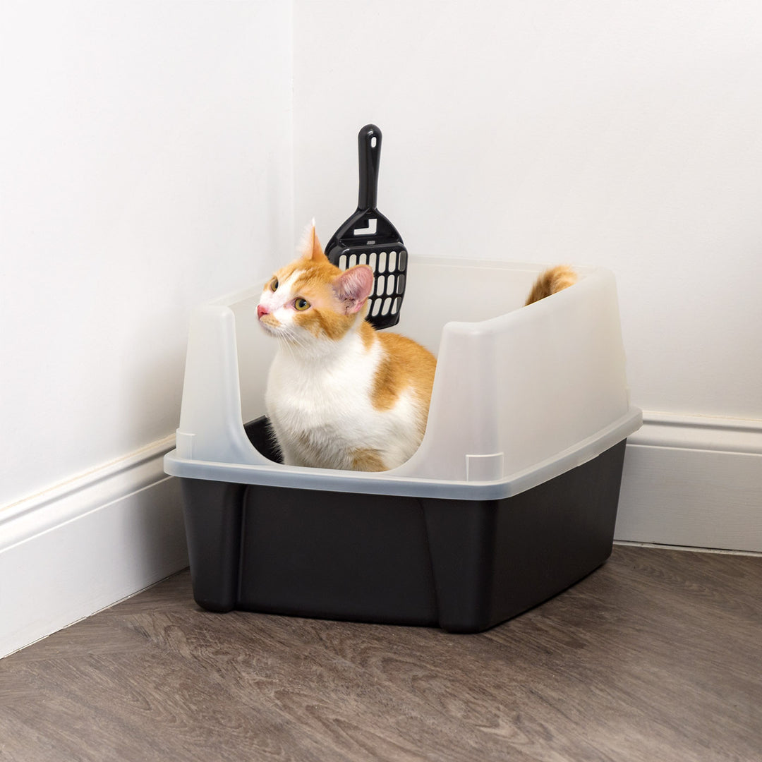 Open-Top Cat Litter Box with Shield and Scoop