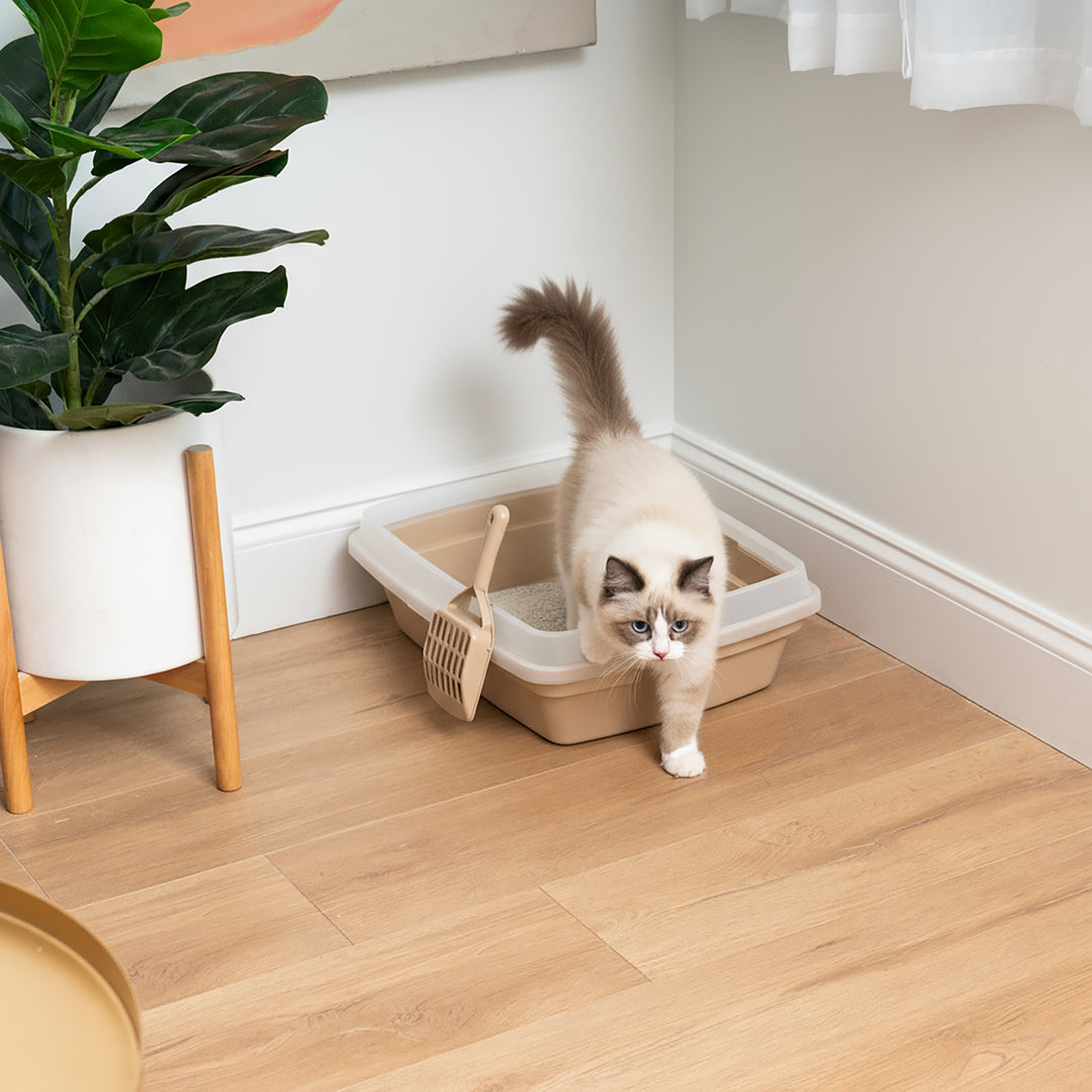 Cat Litter Box with Scoop - IRIS USA