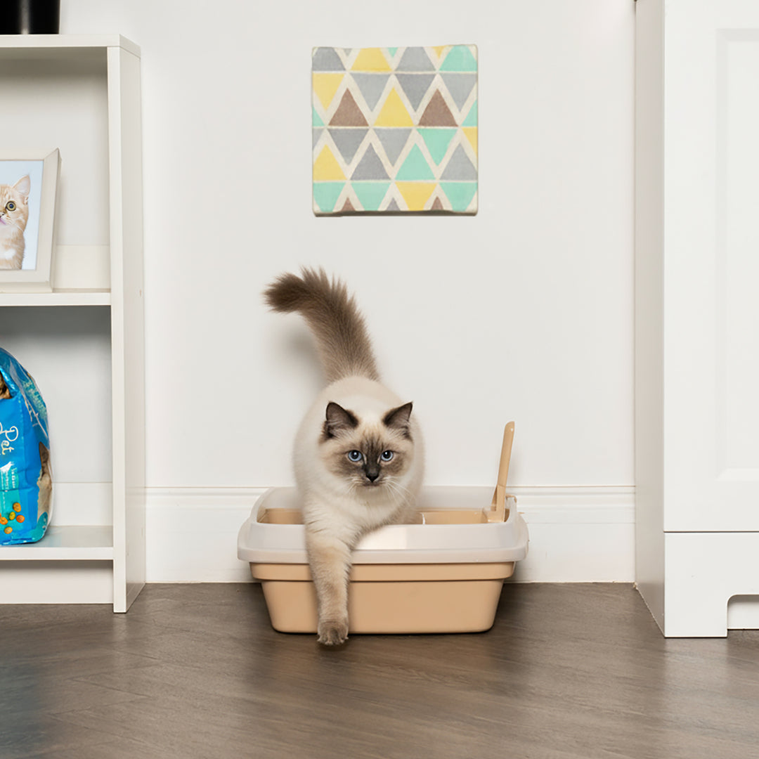 Cat Litter Box with Scoop - IRIS USA