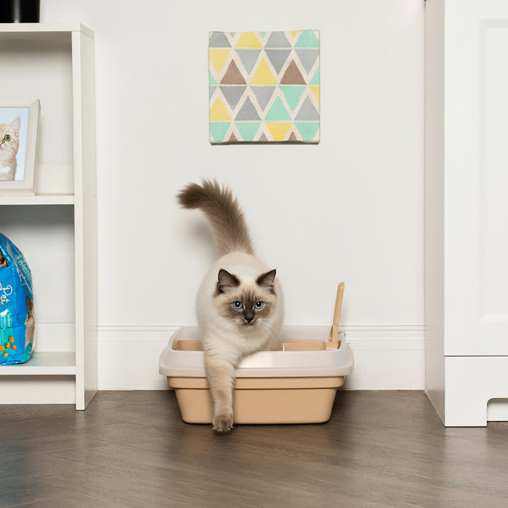 Cat Litter Box with Scoop - IRIS USA