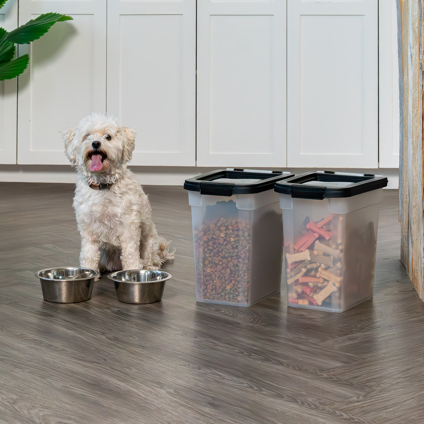 Airtight Dog Food Storage Container 2 pack, Up to 10 lbs – IRIS USA