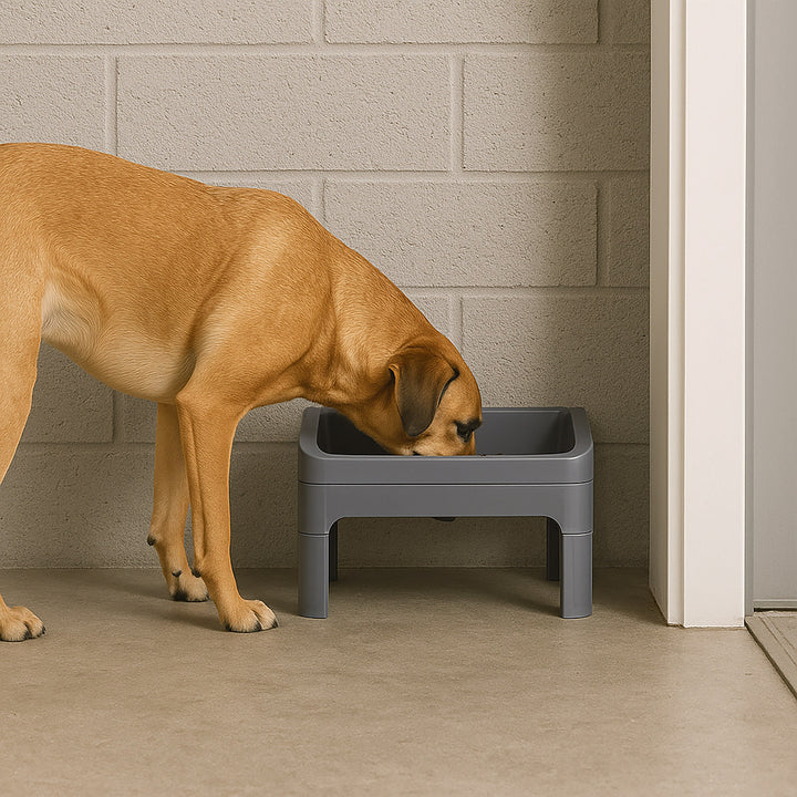 Height Adjustable Elevated Feeder - IRIS USA