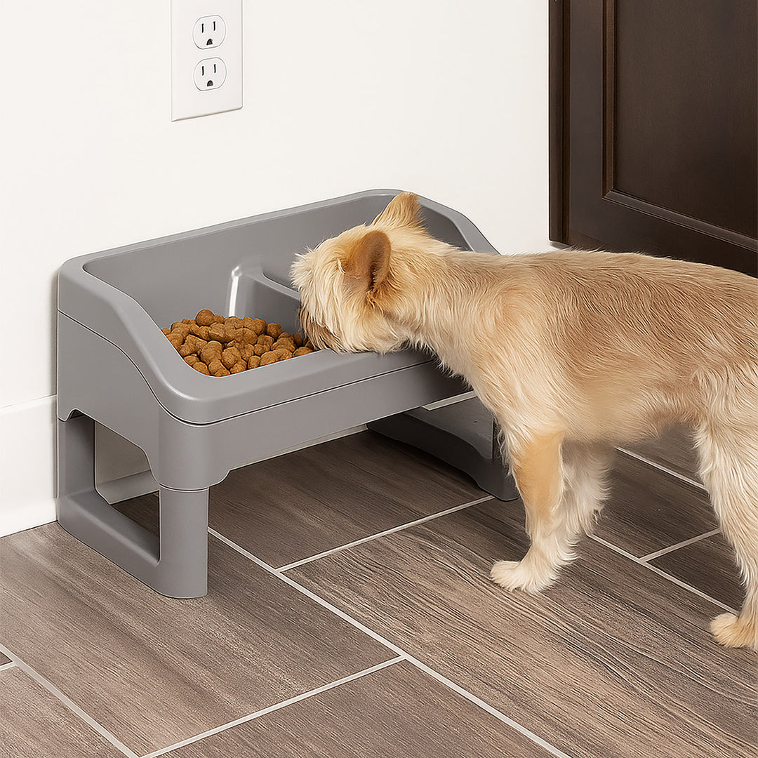 Height Adjustable Elevated Feeder - IRIS USA