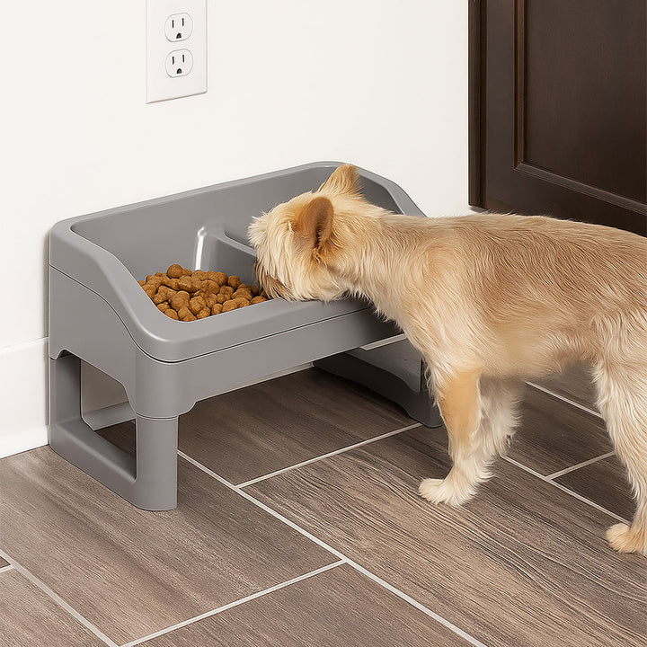 Height Adjustable Elevated Feeder - IRIS USA