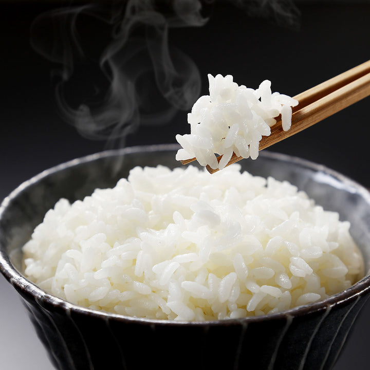 IRIS USA Instant Microwavable White Rice, Gluten Free Vegan, 6Pk - IRIS USA