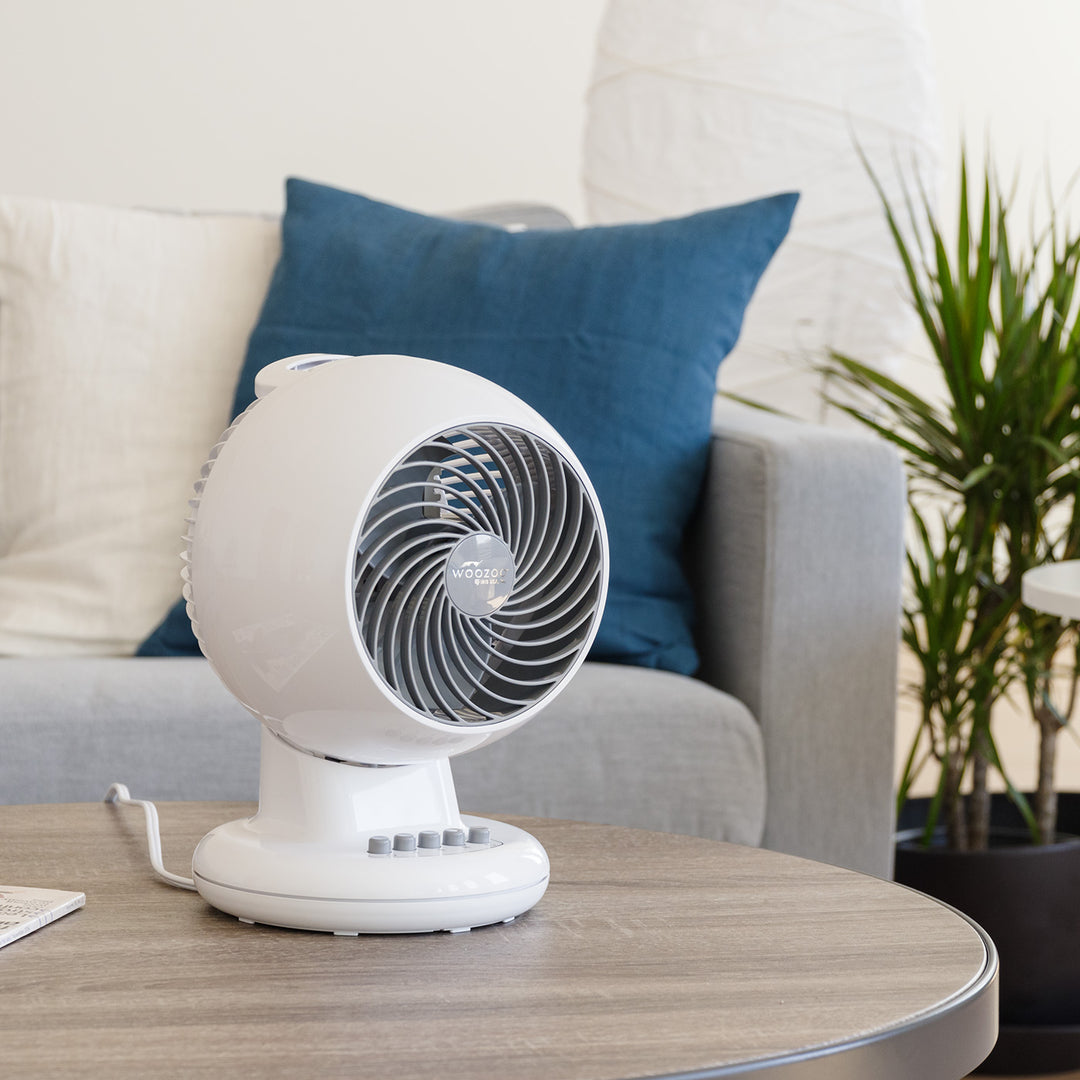 WOOZOO Oscillating Fan with Timer, 3 Speed Settings, White