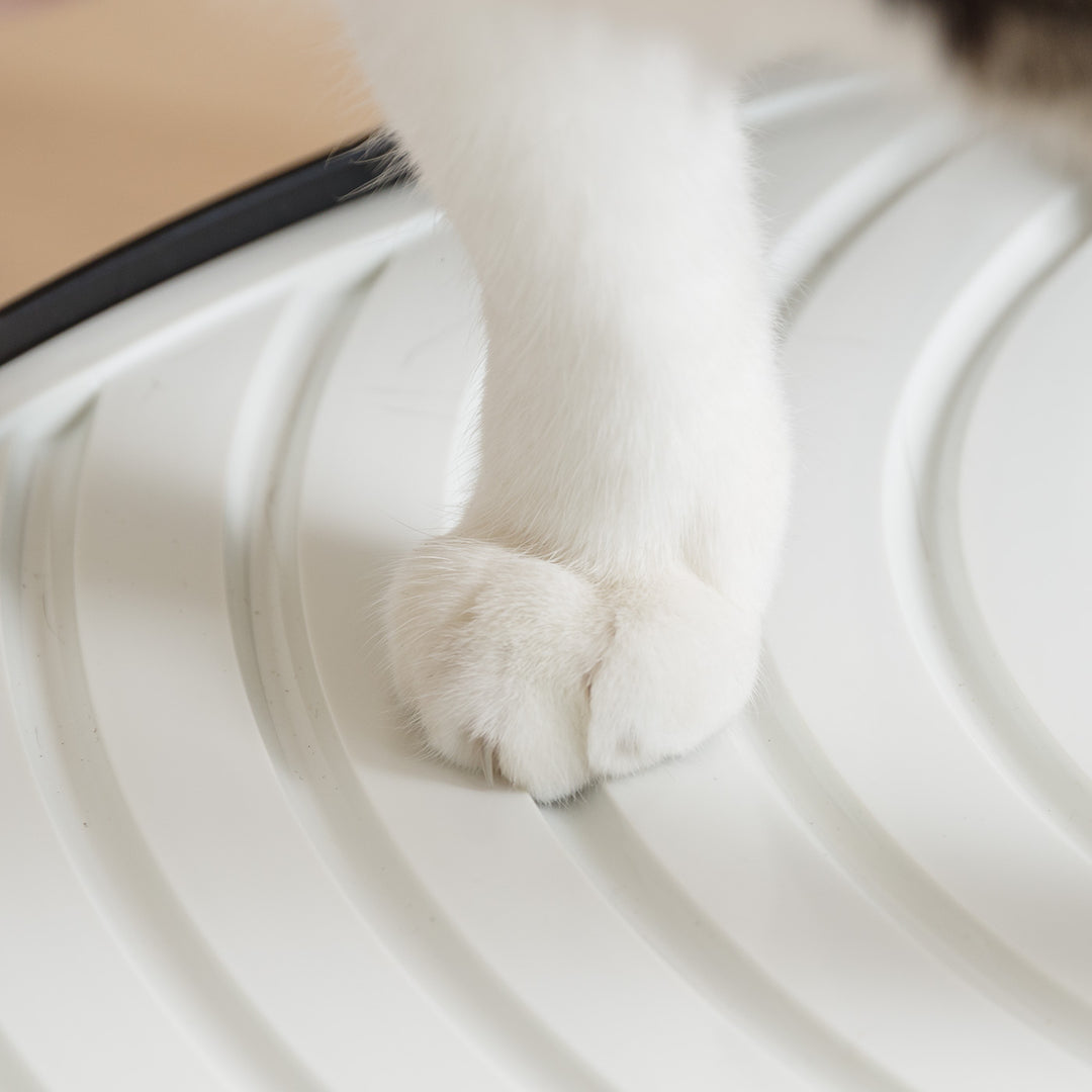 Top Entry Cat Litter Pan - Large - IRIS USA, Inc.