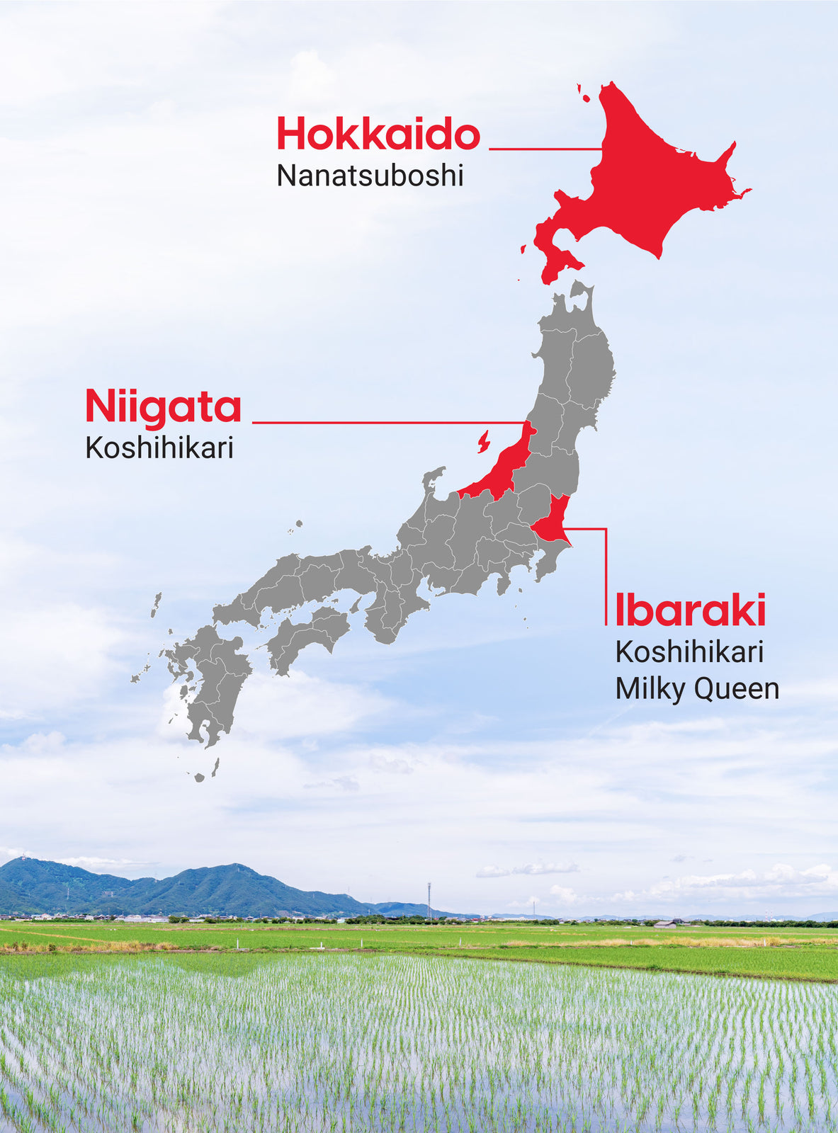 Japanese Premium Rice - Nanatsuboshi | IRIS USA, Inc.