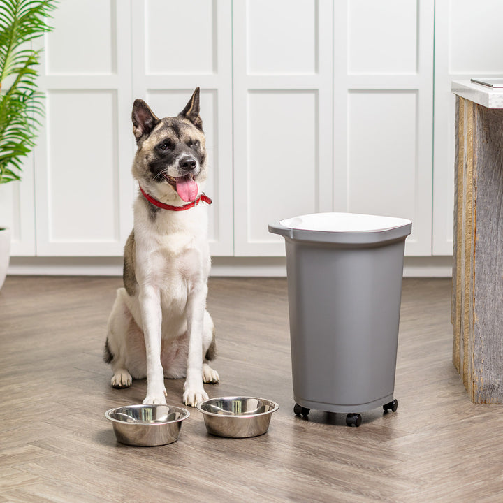 25 Lbs. Airtight Pet Food Container | Dog & Cat Food Storage Bin - IRIS USA
