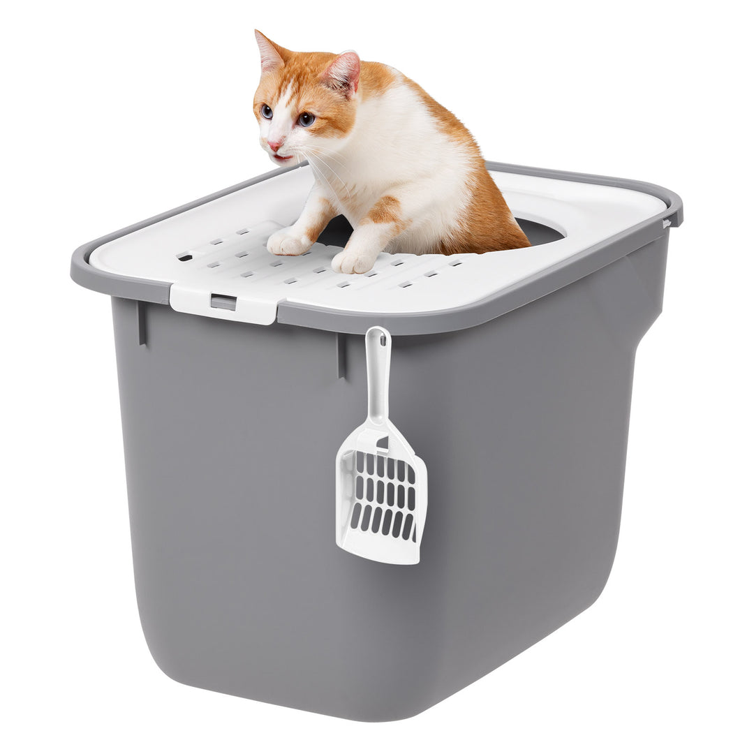 Top Entry Cat Litter Box with Scoop Large, White/Gray – IRIS USA