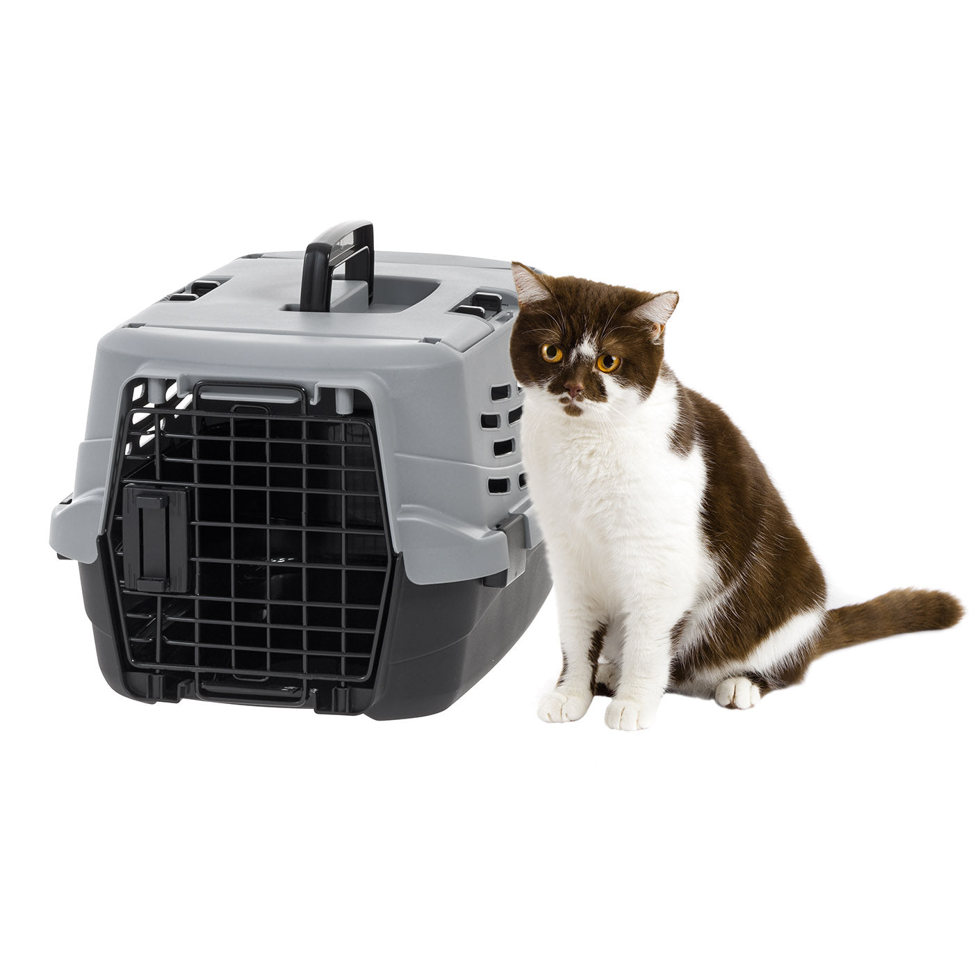 Pet Travel Carrier with Front and Top Access – IRIS USA Pet Travel Carrier with Front and Top Access – IRIS USA