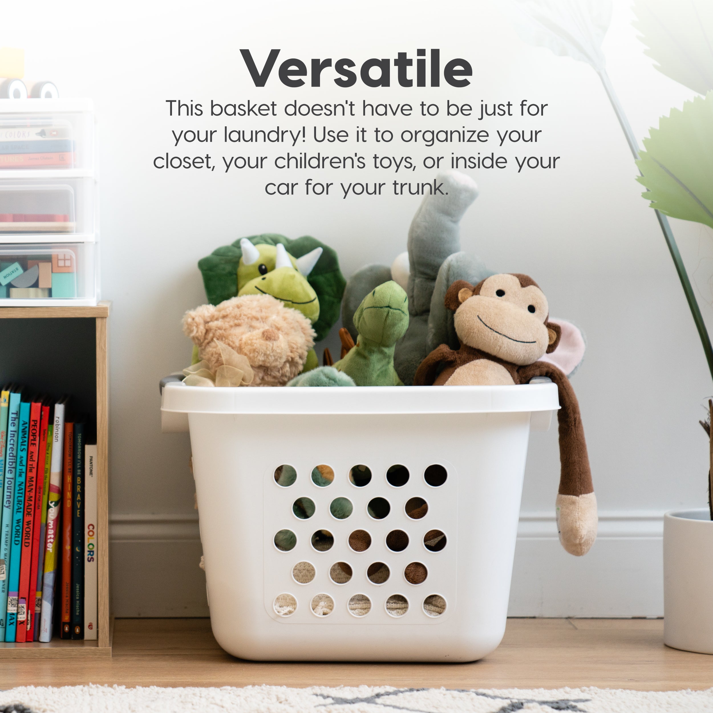 Compact Laundry Basket/Hamper 30L, 4 Pack – IRIS USA