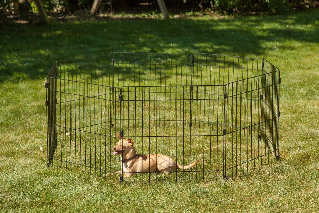 IRIS USA Metal Exercise Pet Playpen, Small Medium Dog Secure Fence Portable Easy Assemble Yard Outdoor Camping, 24"H-48"H 8-panel, Black - IRIS USA, Inc.