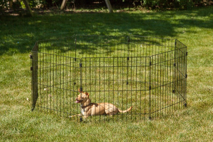 IRIS USA Metal Exercise Pet Playpen, Small Medium Dog Secure Fence Portable Easy Assemble Yard Outdoor Camping, 24"H-48"H 8-panel, Black - IRIS USA, Inc.