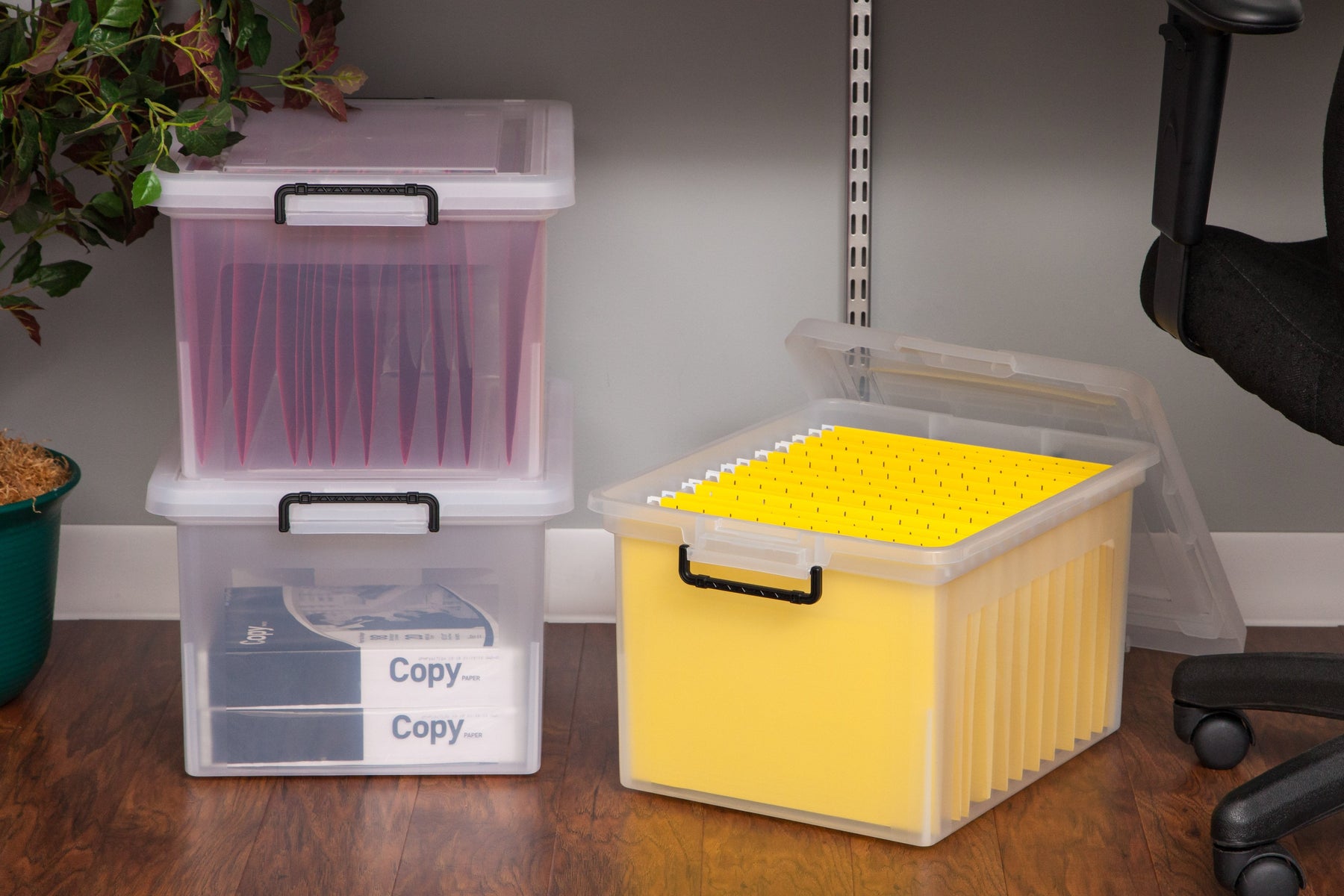 Box File Buckle Letter and Legal Buckle File Box – IRIS USA