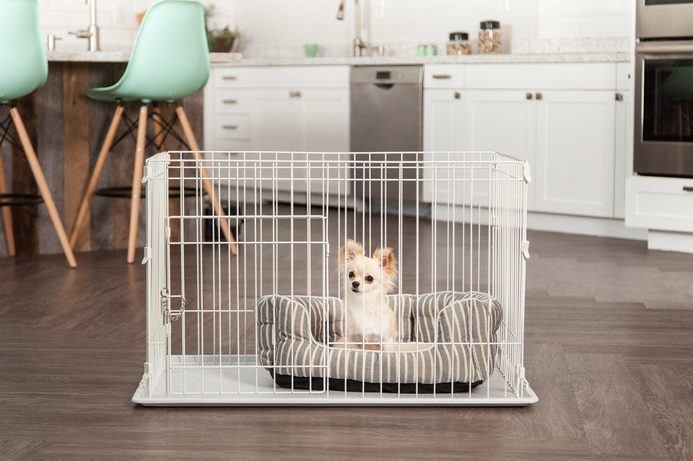 Medium Wire Dog Cage – IRIS USA
