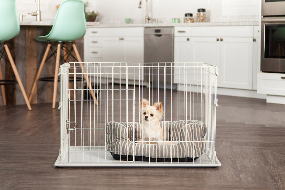 Medium Wire Dog Cage - IRIS USA, Inc.