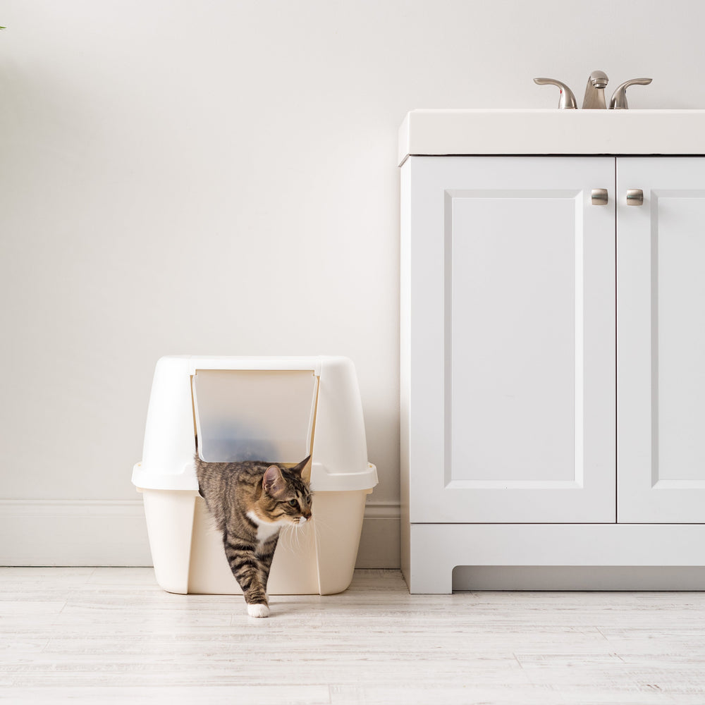 Jumbo Hooded Litter Box with Scoop, Off White - IRIS USA, Inc.