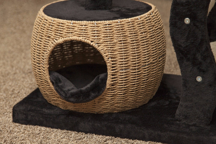 #color_black-beige